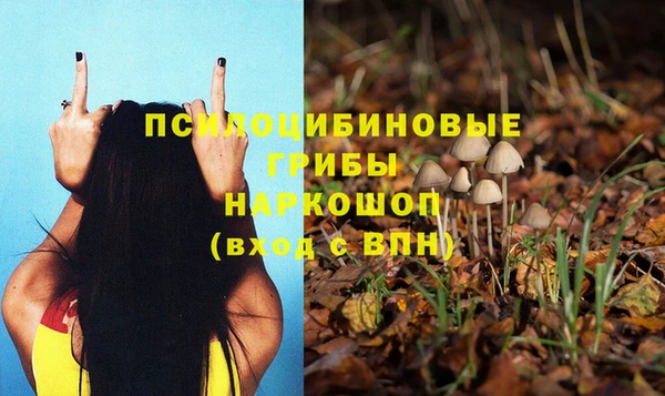 прущая мука Магадан