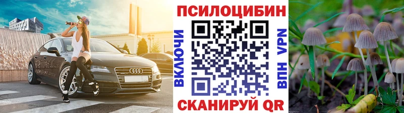 Псилоцибиновые грибы прущие грибы  Купить  Благовещенск 